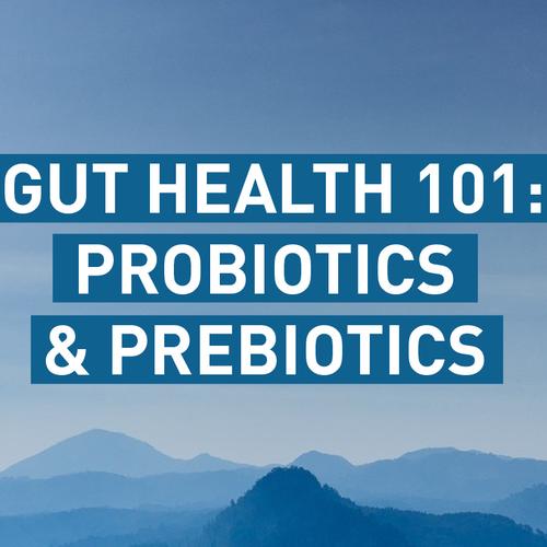 Gut Health 101 Probiotics & Prebiotics